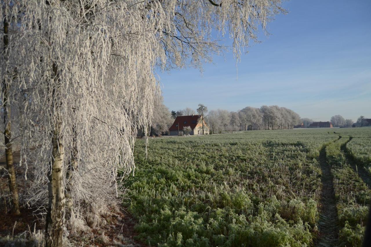 Zum Heuerling Ferienwohung Im Alten Stall Mit Sauna Ферсмольд Экстерьер фото